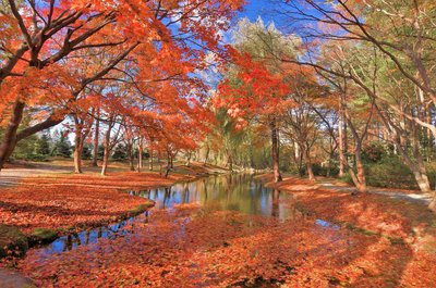 🏞️ 마나베 정원 (真鍋庭園) 이미지 2